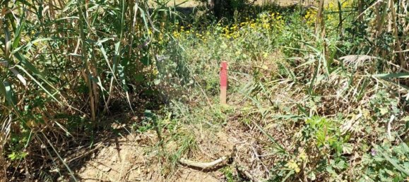 Grundstück in Lourinha, Portugal 2720m², Nr. 87703 10