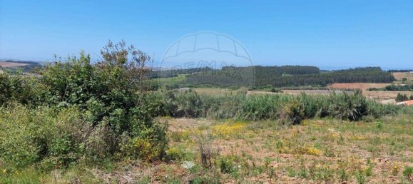 Grundstück in Lourinha, Portugal 2720m², Nr. 87703 8