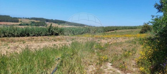 Grundstück in Lourinha, Portugal 2720m², Nr. 87703 4