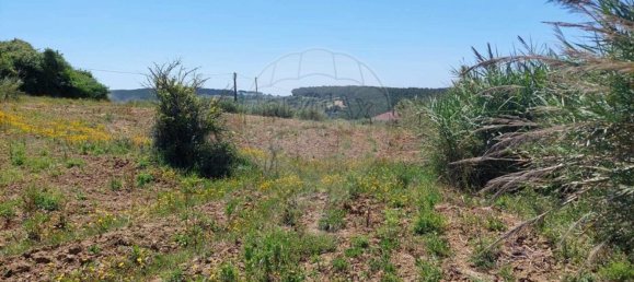 Grundstück in Lourinha, Portugal 2720m², Nr. 87703 3