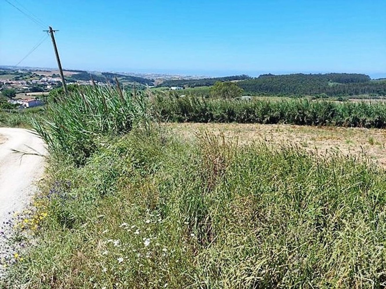 Grundstück in Lourinha, Portugal 2720m², Nr. 87703