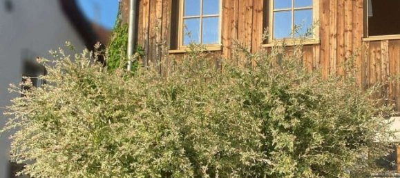 7 rooms House in Zollernalbkreis, Germany No. 318144 2