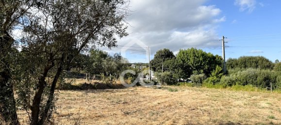 Grundstück in Viseu, Portugal 2280m², Nr. 303945 3