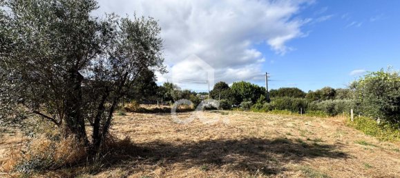 Grundstück in Viseu, Portugal 2280m², Nr. 303945 2