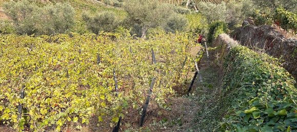 1 غرف نوم قلاع في Cambres, Portugal رقم 184291 5