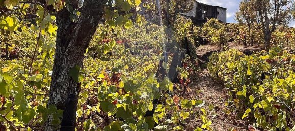 1 غرف نوم قلاع في Cambres, Portugal رقم 184291 8