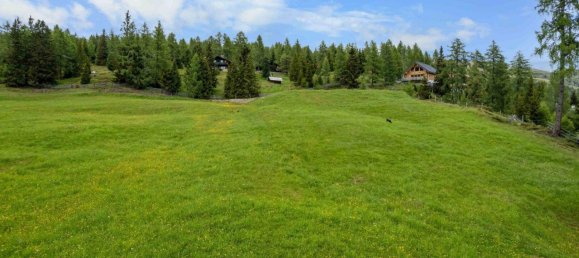  Land in Gmund in Karnten, Austria No. 87260 7