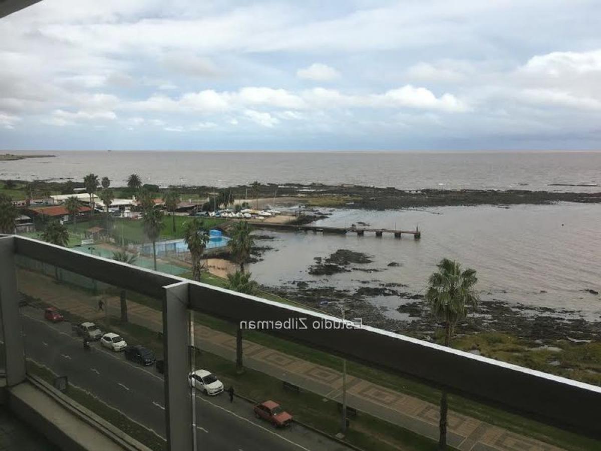 3 chambres Appartement à Montevideo, Uruguay No. 539