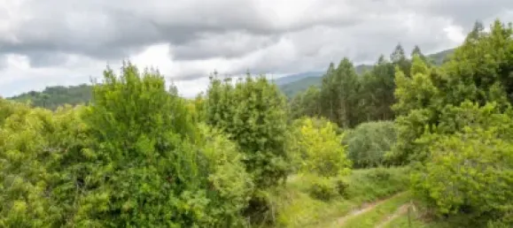 Casa T2 em Colunga, Spain N.º 184191 37