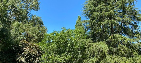 5 غرف نوم منزل في Riaille, France رقم 333115 2