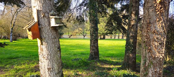 5 غرف نوم منزل في Riaille, France رقم 333115 6