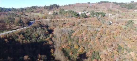 20200m² Land in Baiao, Portugal No. 60363 2