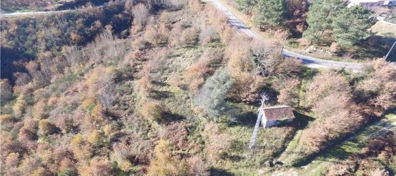 20200m² Land in Baiao, Portugal No. 60363 3