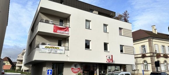 Коммерческая недвижимость с 5 комнатами в Ильфюрт, Франция № 88068 9