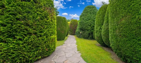 Casa de 4 dormitorios en Munich, Germany No. 289091 15