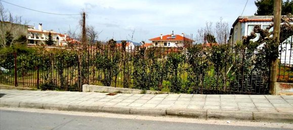 Hotel in Rodopoli, Greece 1800m², Nr. 7126 2