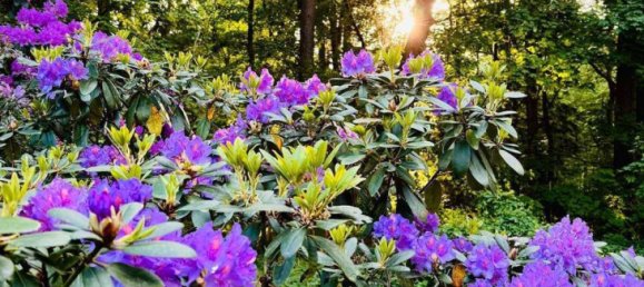 Casa de 9 dormitorios en Celle, Germany No. 163125 41