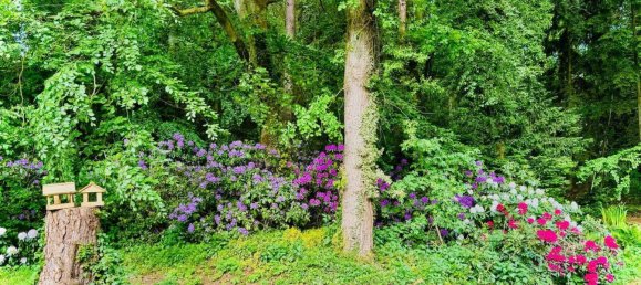 Casa de 9 dormitorios en Celle, Germany No. 163125 45