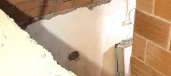 Casa T5 em Zaragoza, Spain N.º 191548 21