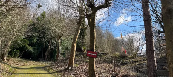 Villa de 12 divisões em Ortenaukreis, Germany N.º 59153 21