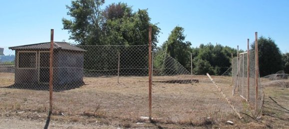 Grundstück in Santa Comba Dao, Portugal 2513m², Nr. 58304 4