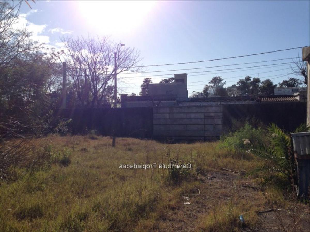Terrain à Canelones, Uruguay No. 15244