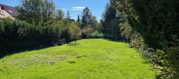 6 rooms House in Langenzersdorf, Austria No. 135982 2