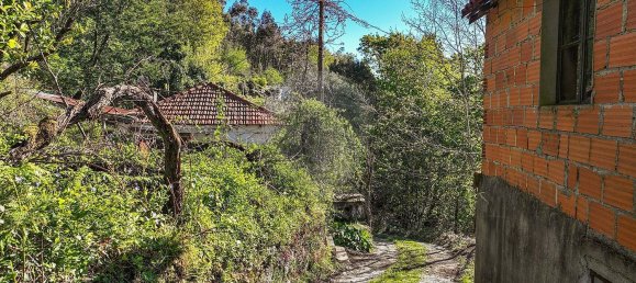 2 غرف نوم منزل في Terras de Bouro, Portugal رقم 40203 13