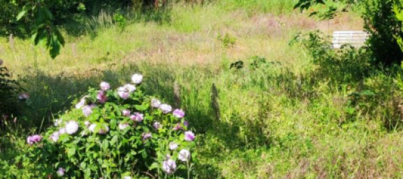 3 Schlafzimmer Haus in Eure-et-Loir, France, Nr. 94579 21