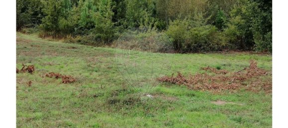 Земельный участок 10020м² в Вила Нова ди Пояриш, Португалия № 68671 4