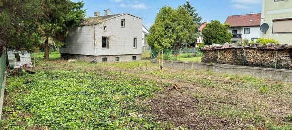  قطعة أرض في Korneuburg, Austria 322متر مربع رقم 163974 2