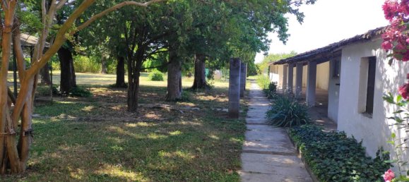 9 chambres Villa à Alessandria, Italy No. 52154 31