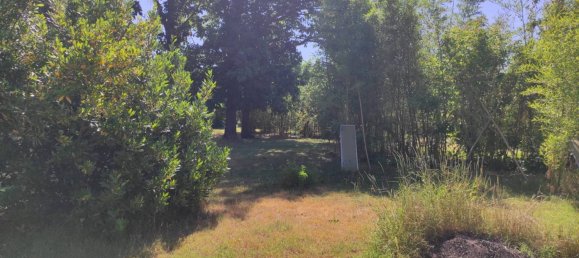 9 chambres Villa à Alessandria, Italy No. 52154 38