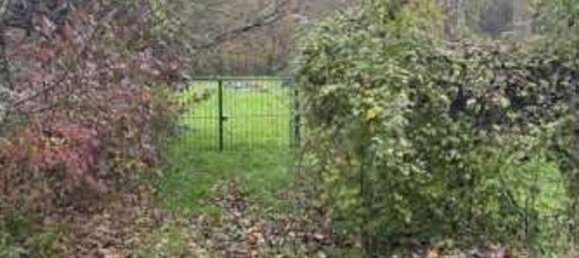 4 rooms House in Tornolo, Italy No. 309771 5