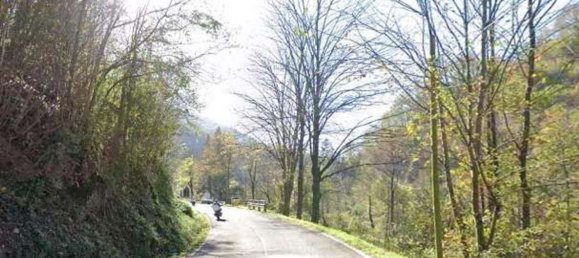 4 rooms House in Tornolo, Italy No. 309771 15