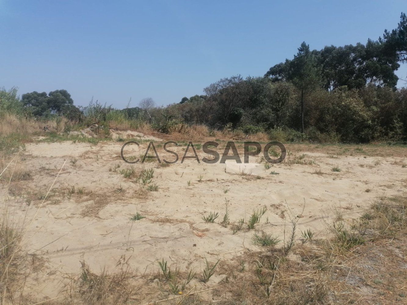 Terreno en Caminha, Portugal No. 232430