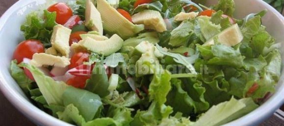 Коммерческая недвижимость с 2 комнатами в Падуя, Италия № 175532 12