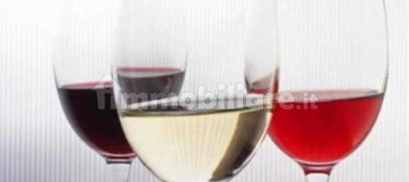 Коммерческая недвижимость с 2 комнатами в Падуя, Италия № 175532 9