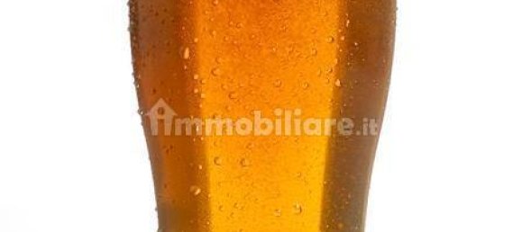 Коммерческая недвижимость с 2 комнатами в Падуя, Италия № 175532 10