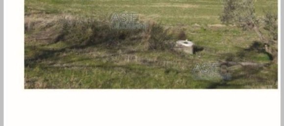 Villa de 2 dormitorios en Penne, Italy No. 337774 24