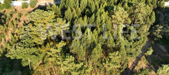 Terrain à Mafra, Portugal No. 228755 9