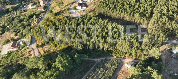 Terrain à Mafra, Portugal No. 228755 3