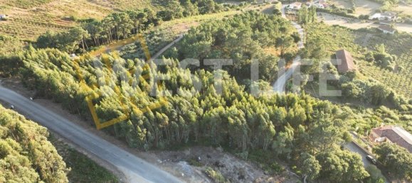 Terrain à Mafra, Portugal No. 228755 11