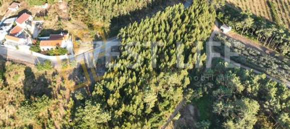 Terrain à Mafra, Portugal No. 228755 5