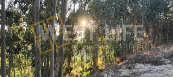 Terrain à Mafra, Portugal No. 228755 10