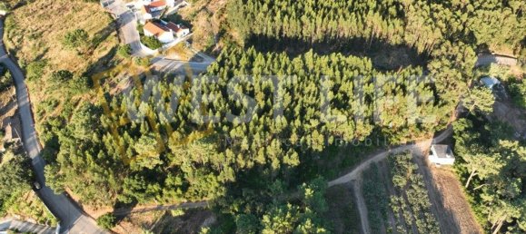 Terrain à Mafra, Portugal No. 228755 6