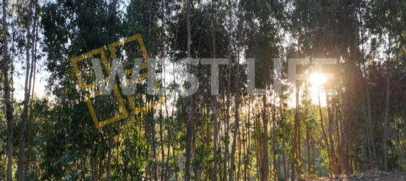 Terrain à Mafra, Portugal No. 228755 12