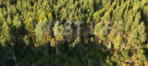 Terrain à Mafra, Portugal No. 228755 8