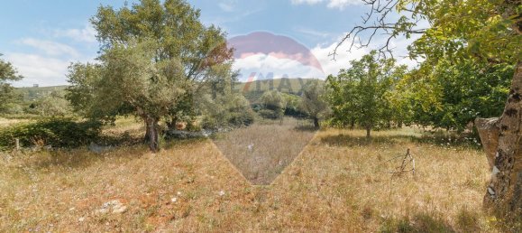 3 bedrooms House in Porto de Mos, Portugal No. 27101 29