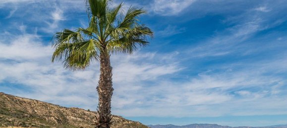 3 bedrooms Apartment in Algorfa, Spain No. 145655 33